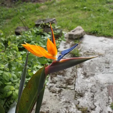 科隆布雷斯艾丽娅度假屋 科隆布雷斯